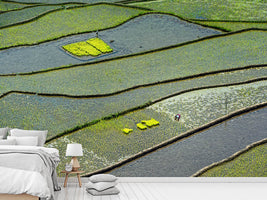 photo-wallpaper-hard-work