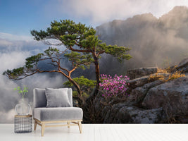 photo-wallpaper-dream-dancer-x