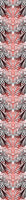 patterned-wallpaper-floral-vibrations