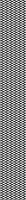 patterned-wallpaper-black-meets-white-in-zig-zag