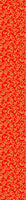 patterned-wallpaper-curls
