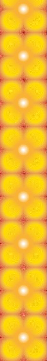 patterned-wallpaper-sun-burst