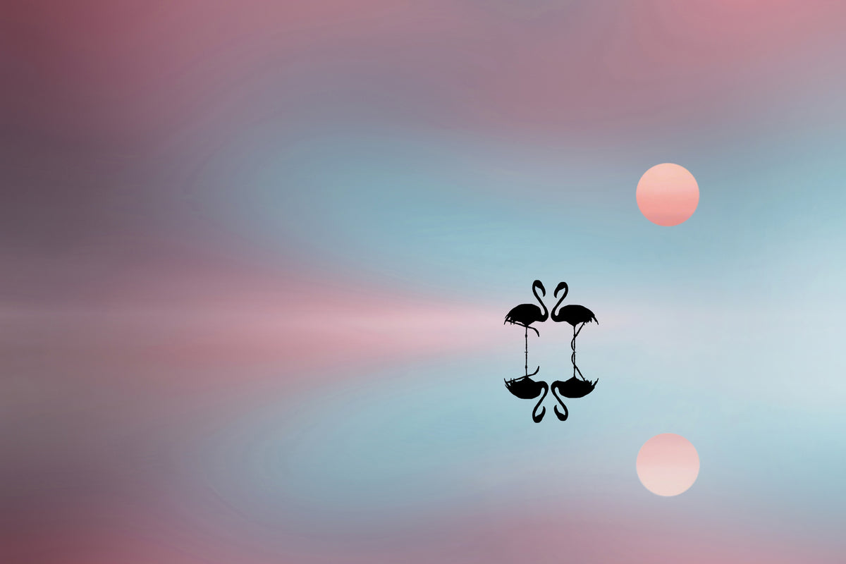 photo-wallpaper-flamingo-xye