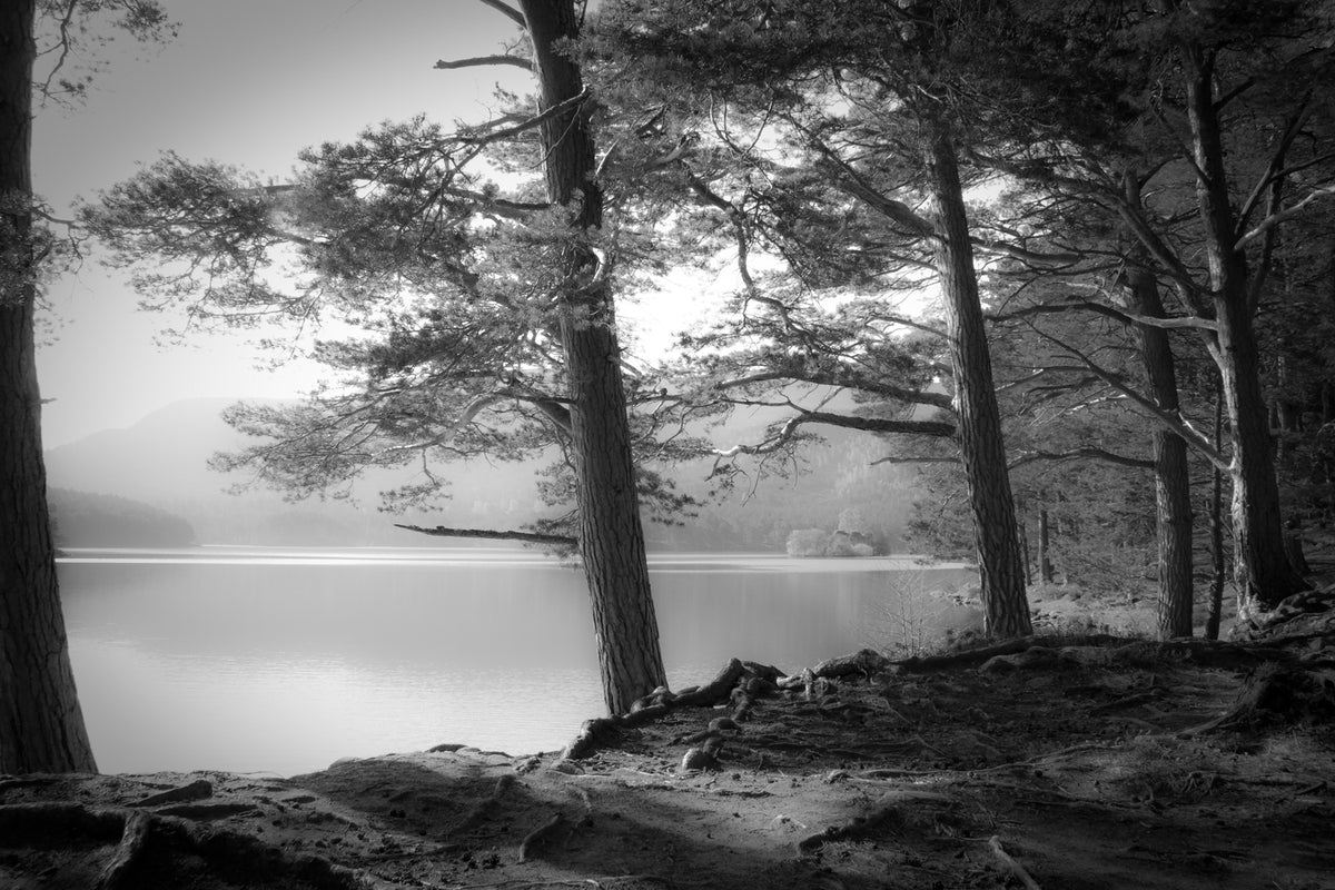 photo-wallpaper-loch-an-eilein