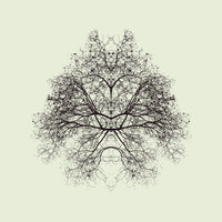 photo-wallpaper-rorschach-test