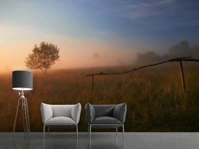 photo-wallpaper-the-summer-field