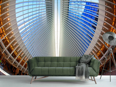 photo-wallpaper-oculus