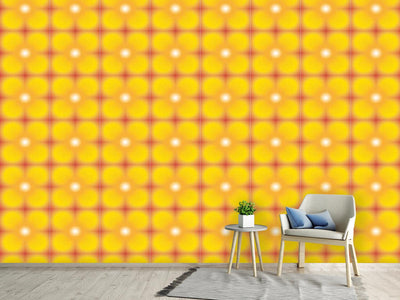 patterned-wallpaper-sun-burst