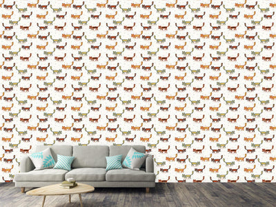 patterned-wallpaper-pussycats