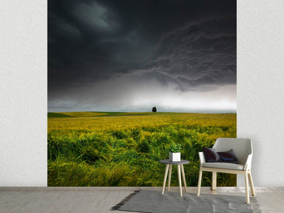 photo-wallpaper-sommergewitter