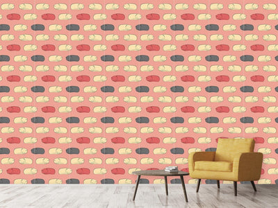 patterned-wallpaper-sleeping-kittens