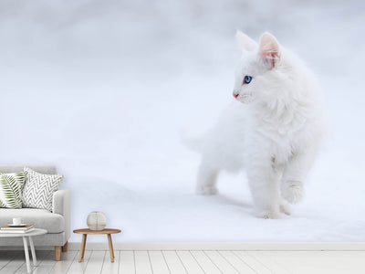 photo-wallpaper-white-as-snow
