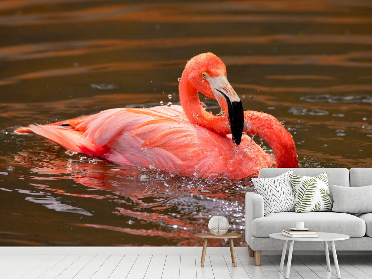 photo-wallpaper-play-with-water