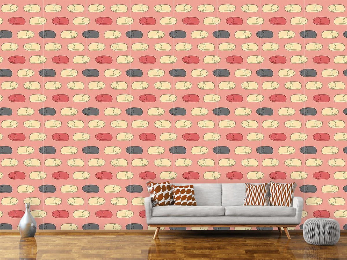 patterned-wallpaper-sleeping-kittens