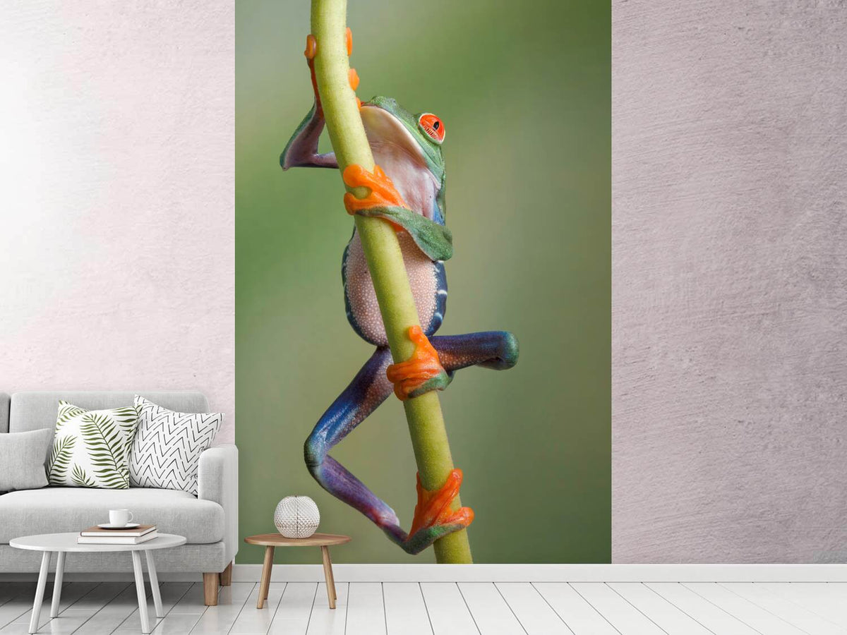 photo-wallpaper-ascending