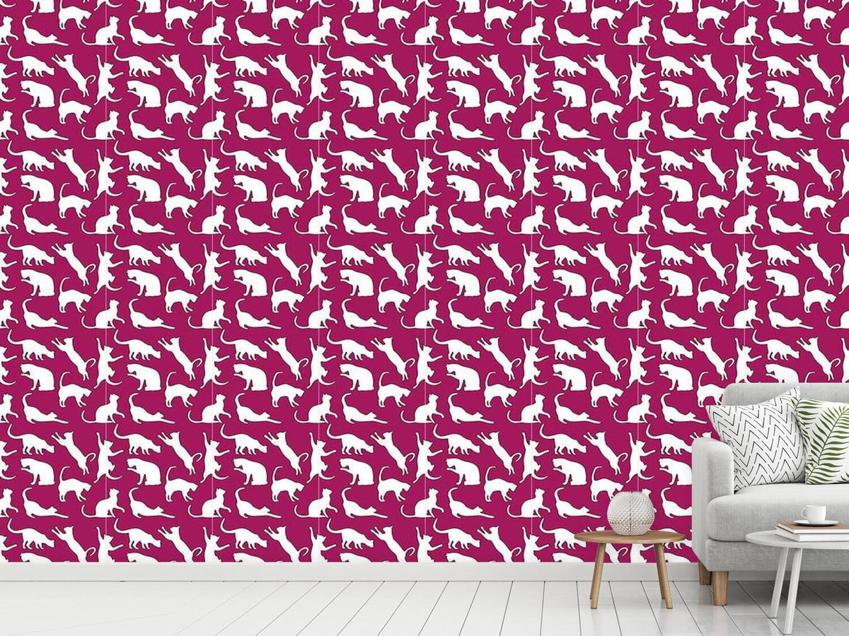 patterned-wallpaper-my-favourite-animal-the-cat