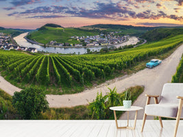 photo-wallpaper-moselle-bend-with-vineyards