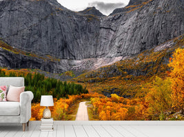 photo-wallpaper-road-to-the-wall-x