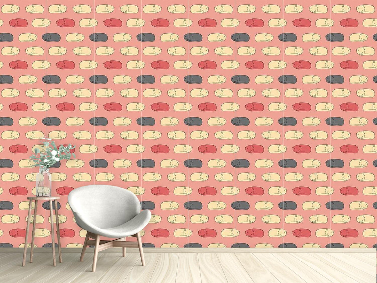 patterned-wallpaper-sleeping-kittens