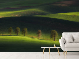 photo-wallpaper-untitled-xim