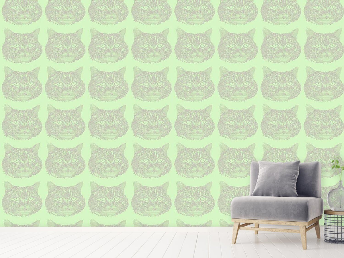 patterned-wallpaper-cat-memory