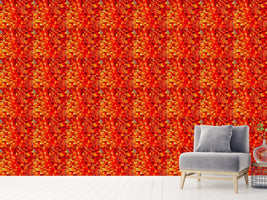 patterned-wallpaper-hot-pixel-pool