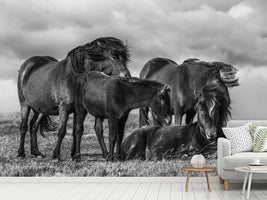 photo-wallpaper-happy-family